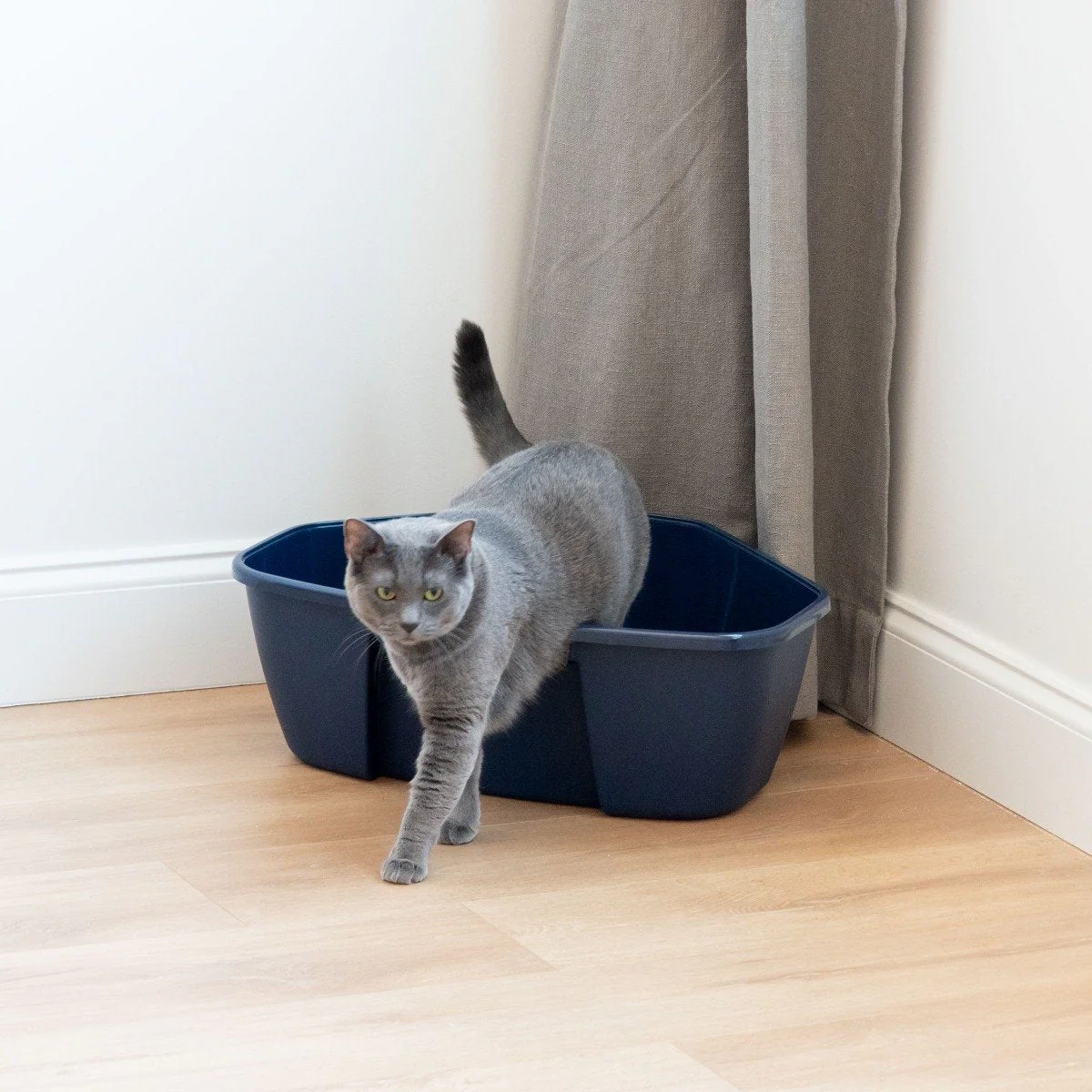Open-Top Cat Litter Pan - Large Corner - Image 3