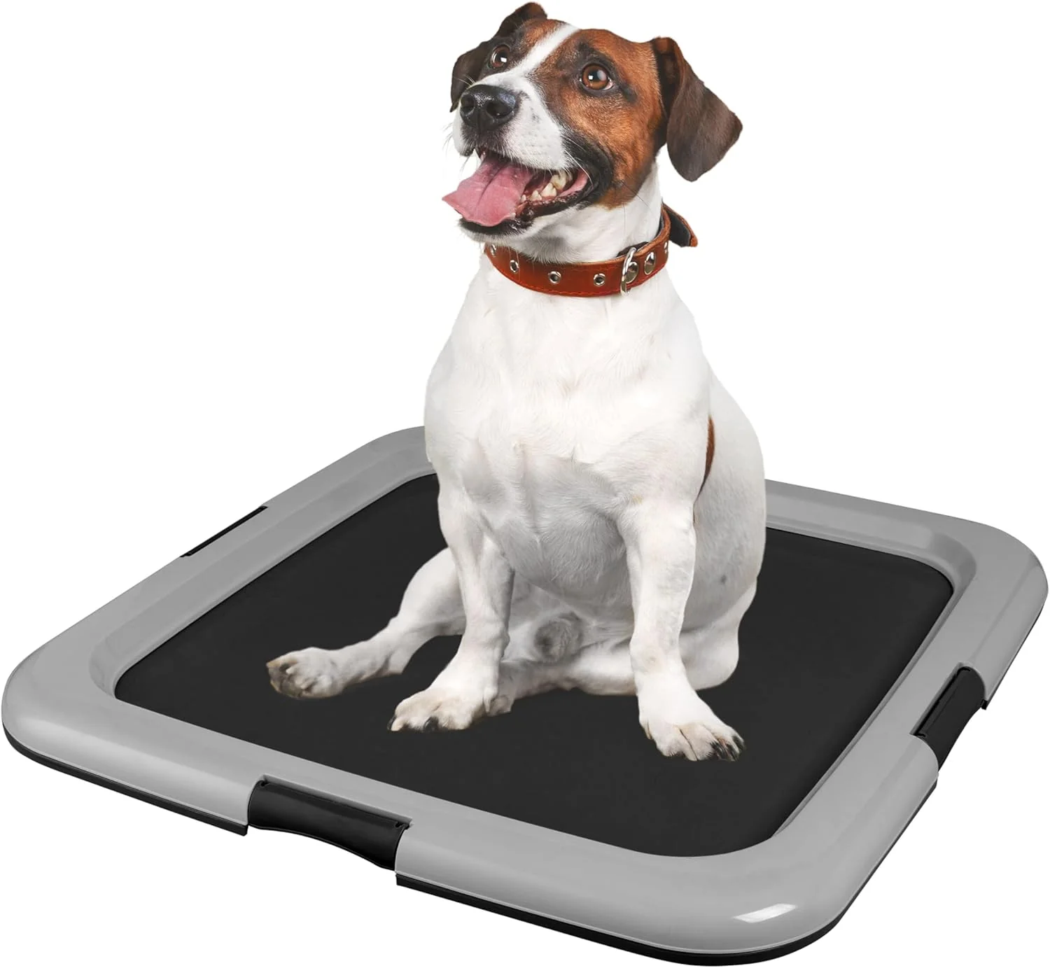 Pee Pad Holder 22"x22" - Image 7