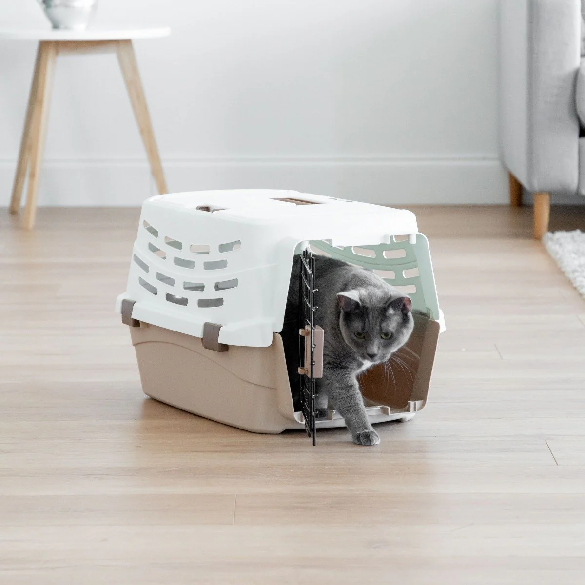 Pet Travel Carrier - Medium - Image 4