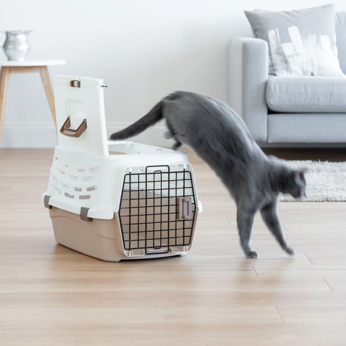 Pet Travel Carrier - Medium - Image 5