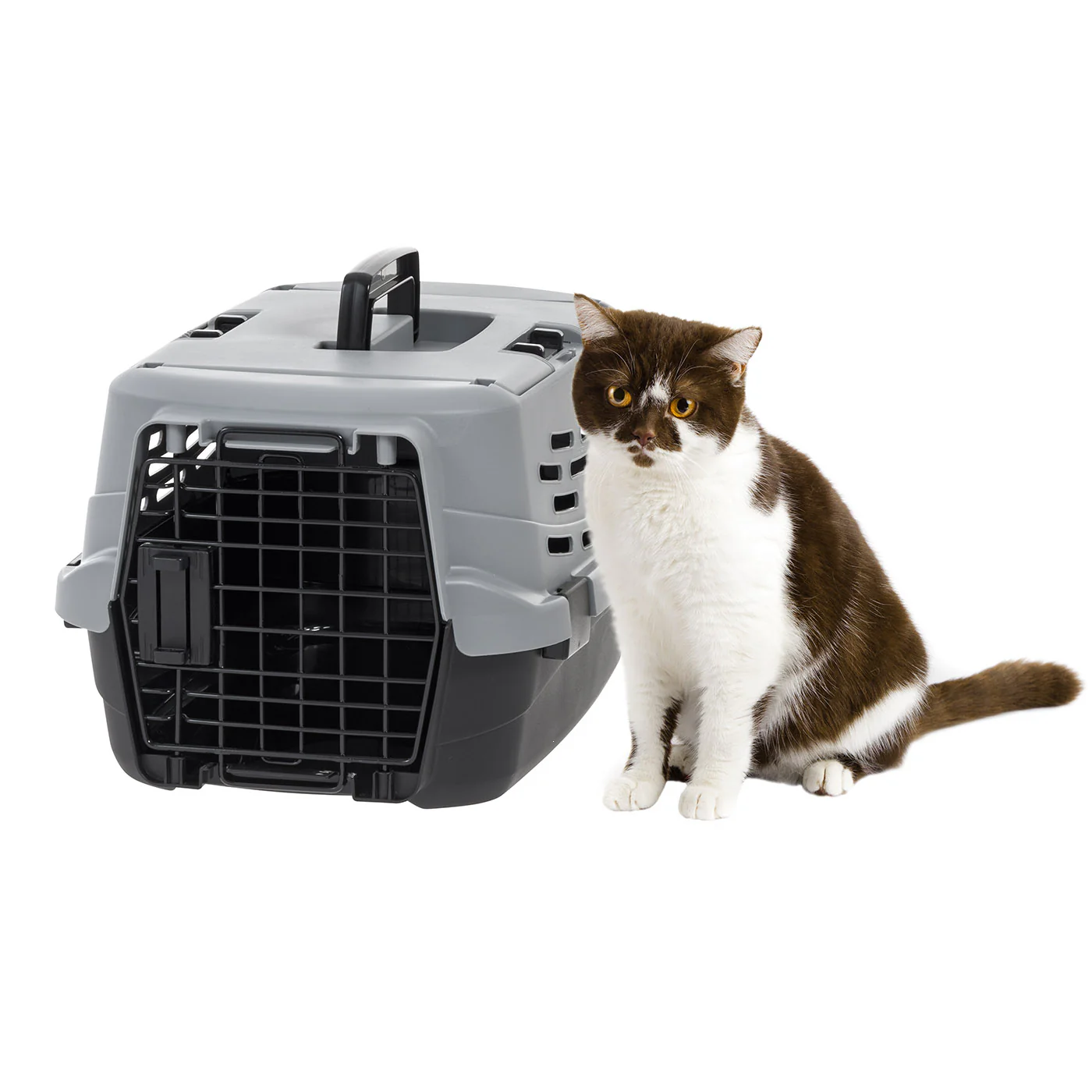 Pet Travel Carrier with Front and Top Access - Image 6