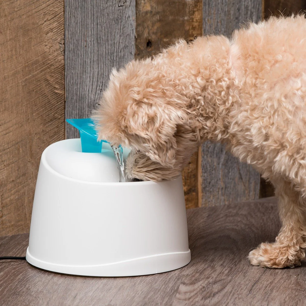 Pet Water Fountain - Image 14