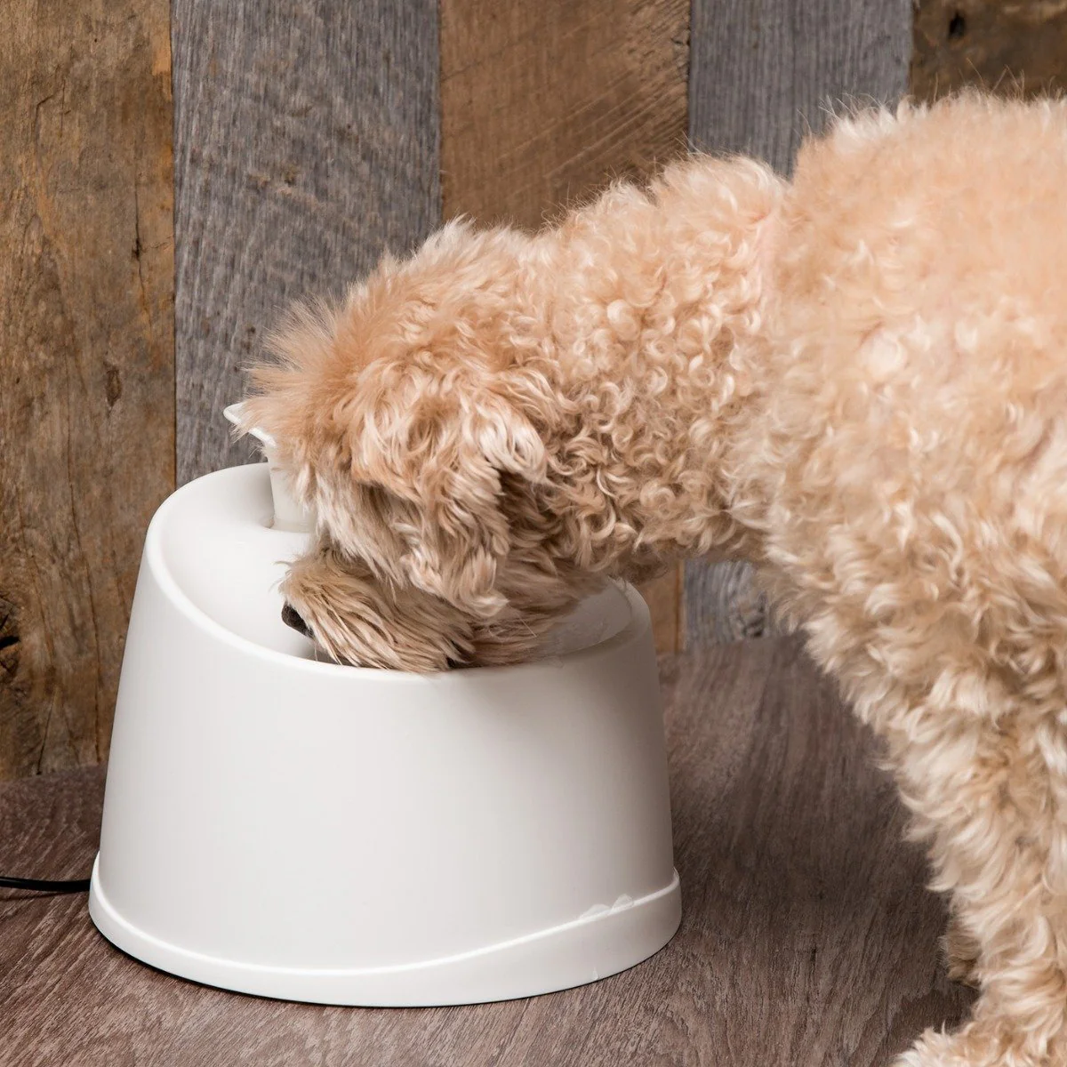 Pet Water Fountain - Image 6