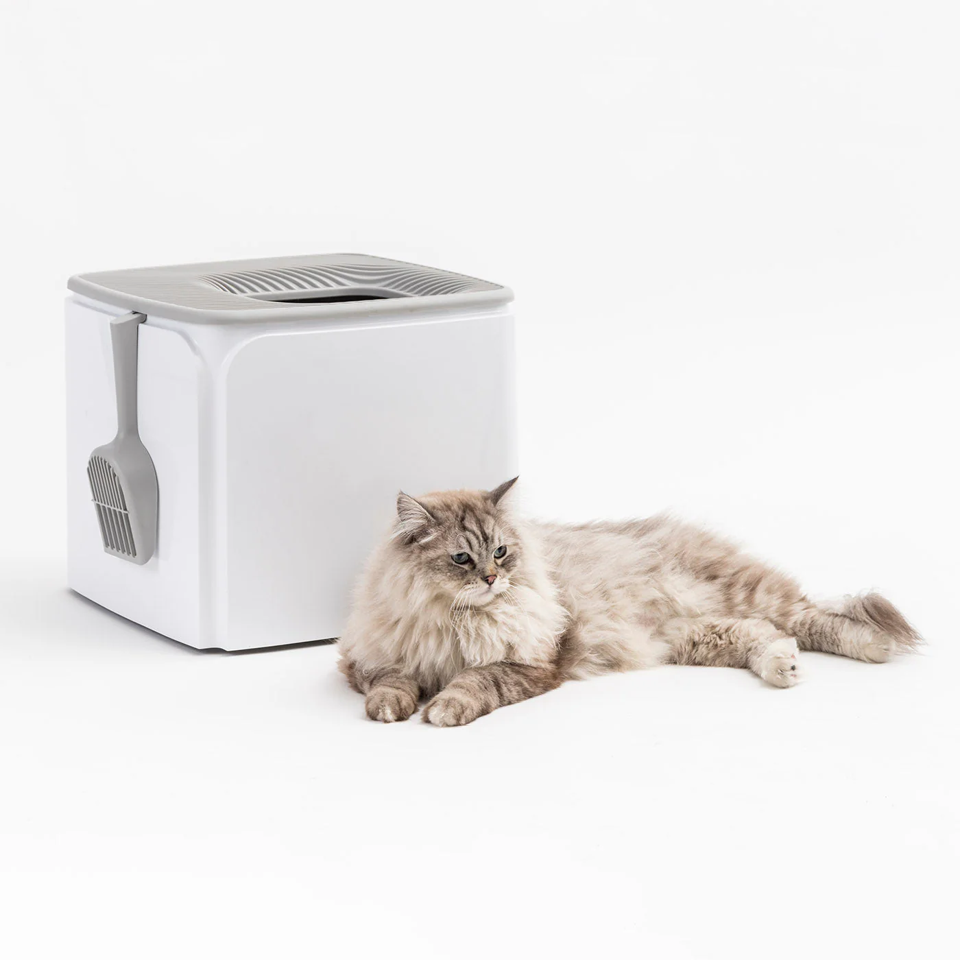 Premium Top Entry Cat Litter Box PRCL-SQ, White - Image 8