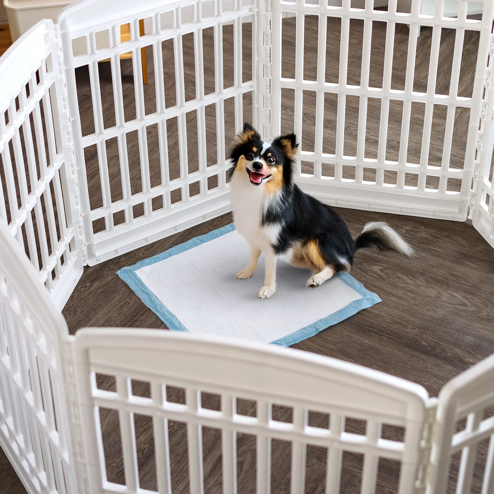 Puppy Pads with Quick-Dry Leak-Proof Design for Potty Training, 22x22" Inch, 100 Count - Image 3