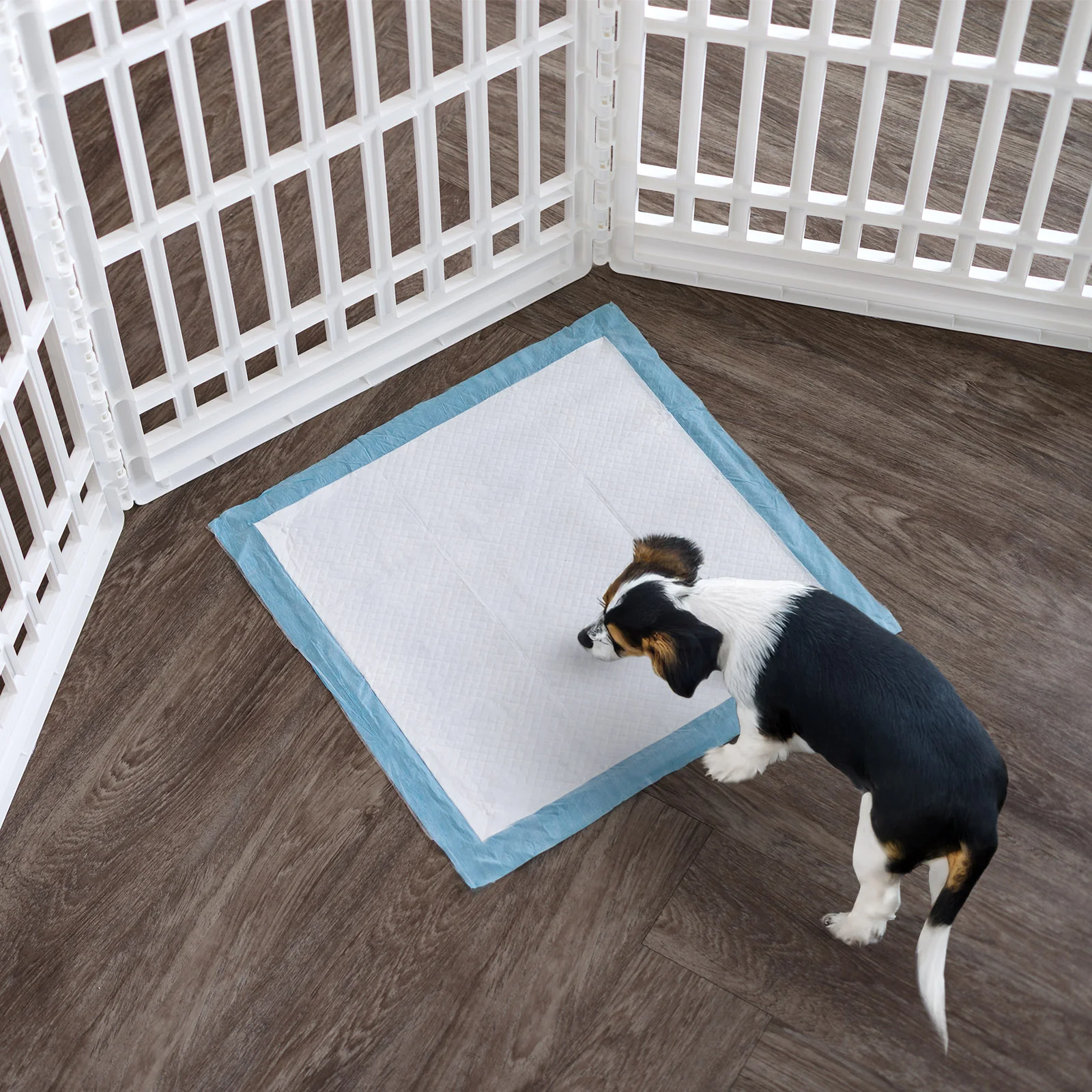 Puppy Pads with Quick-Dry Leak-Proof Design for Potty Training, 22x22" Inch, 100 Count - Image 5