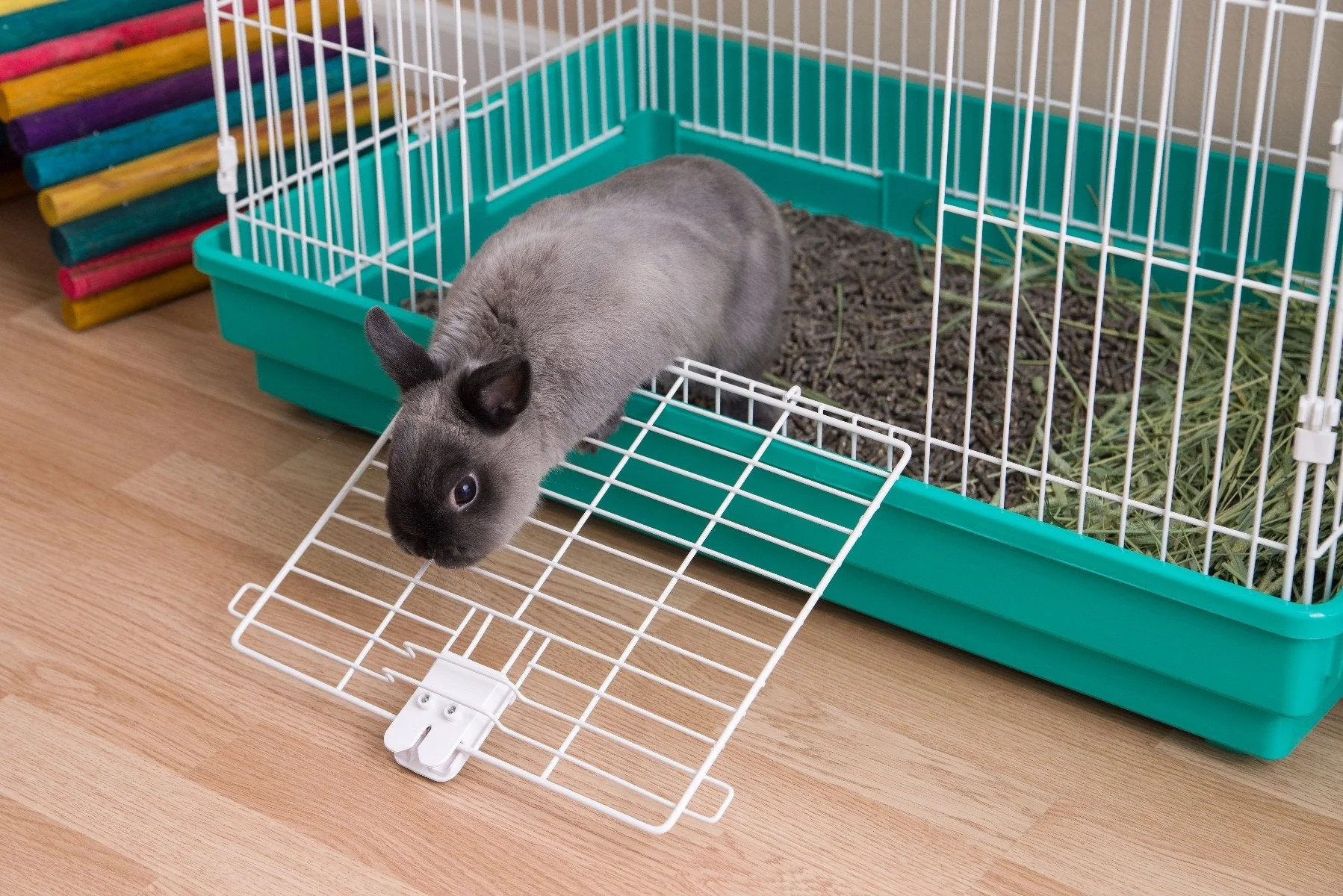 Rabbit Cage - Medium - Image 9