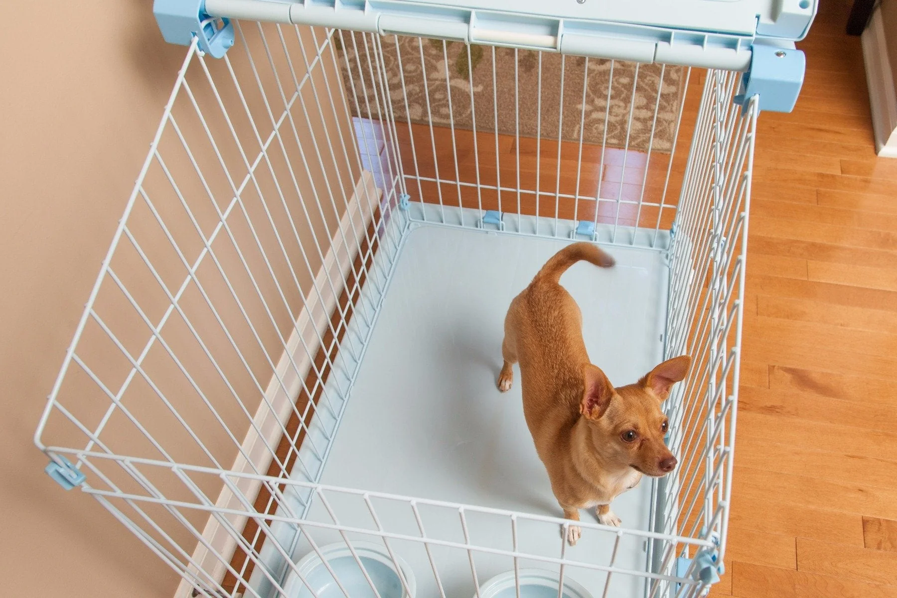 Small Wire Animal House - Image 13