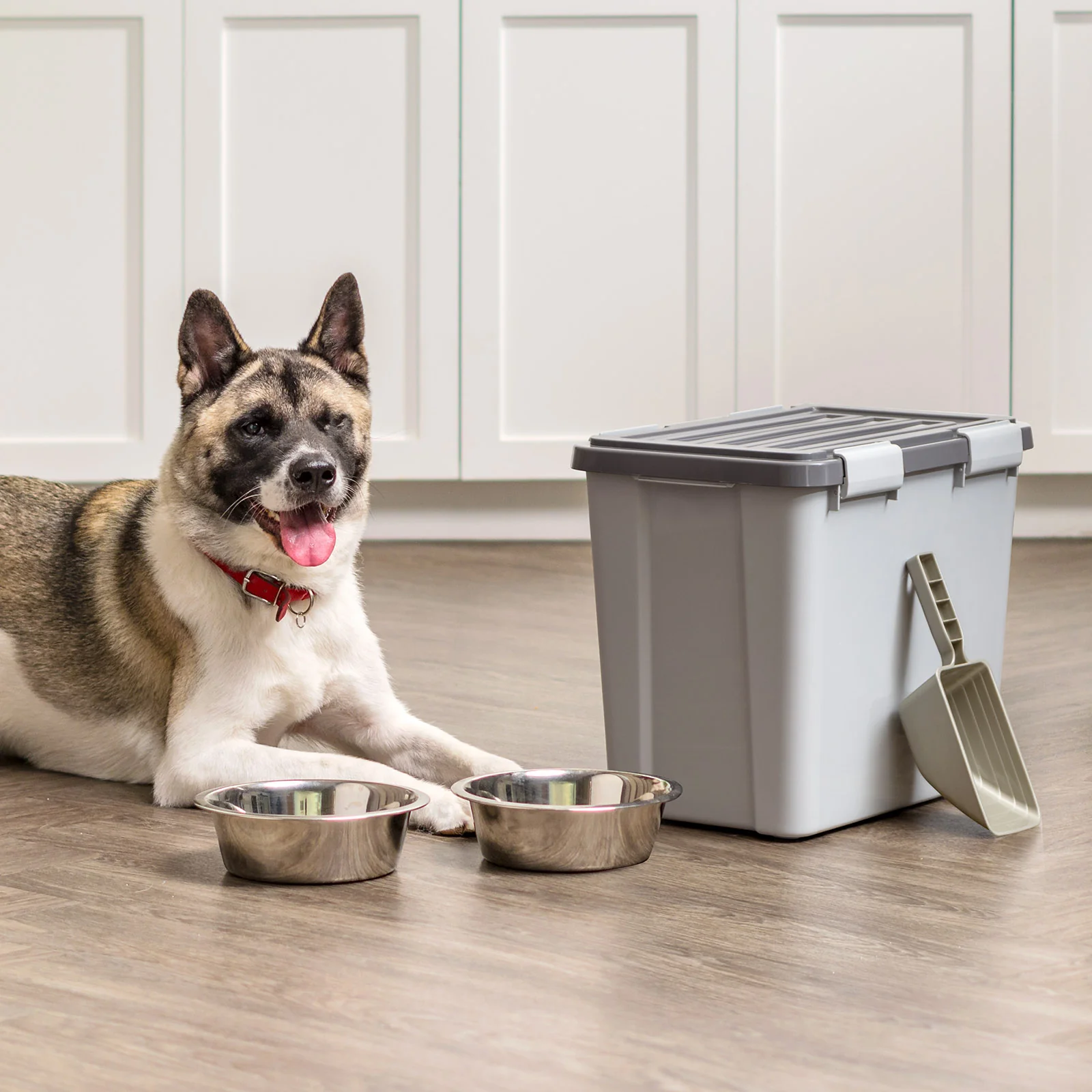 Stackable Dog Food Storage Container with 2 Cup Scoop, Fits up to 30 lbs - Image 2