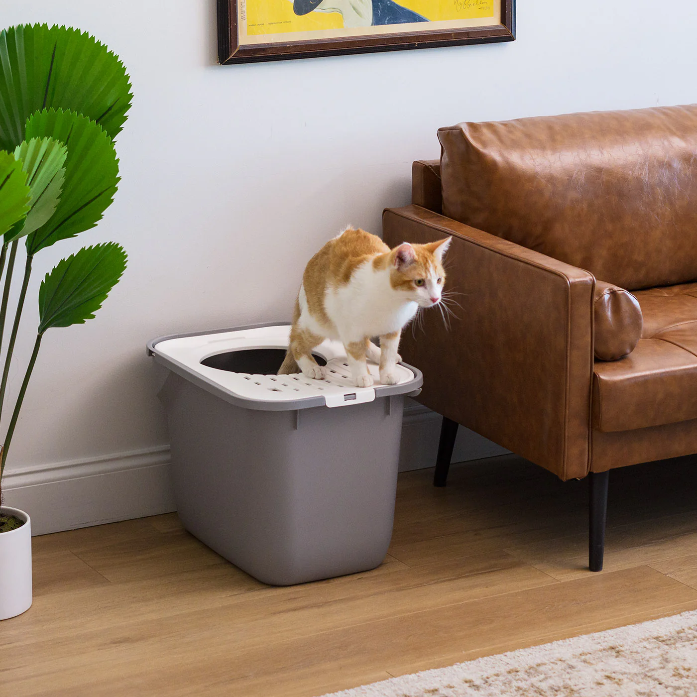 Top Entry Cat Litter Box w/o Scoop Large, White/Gray - Image 4