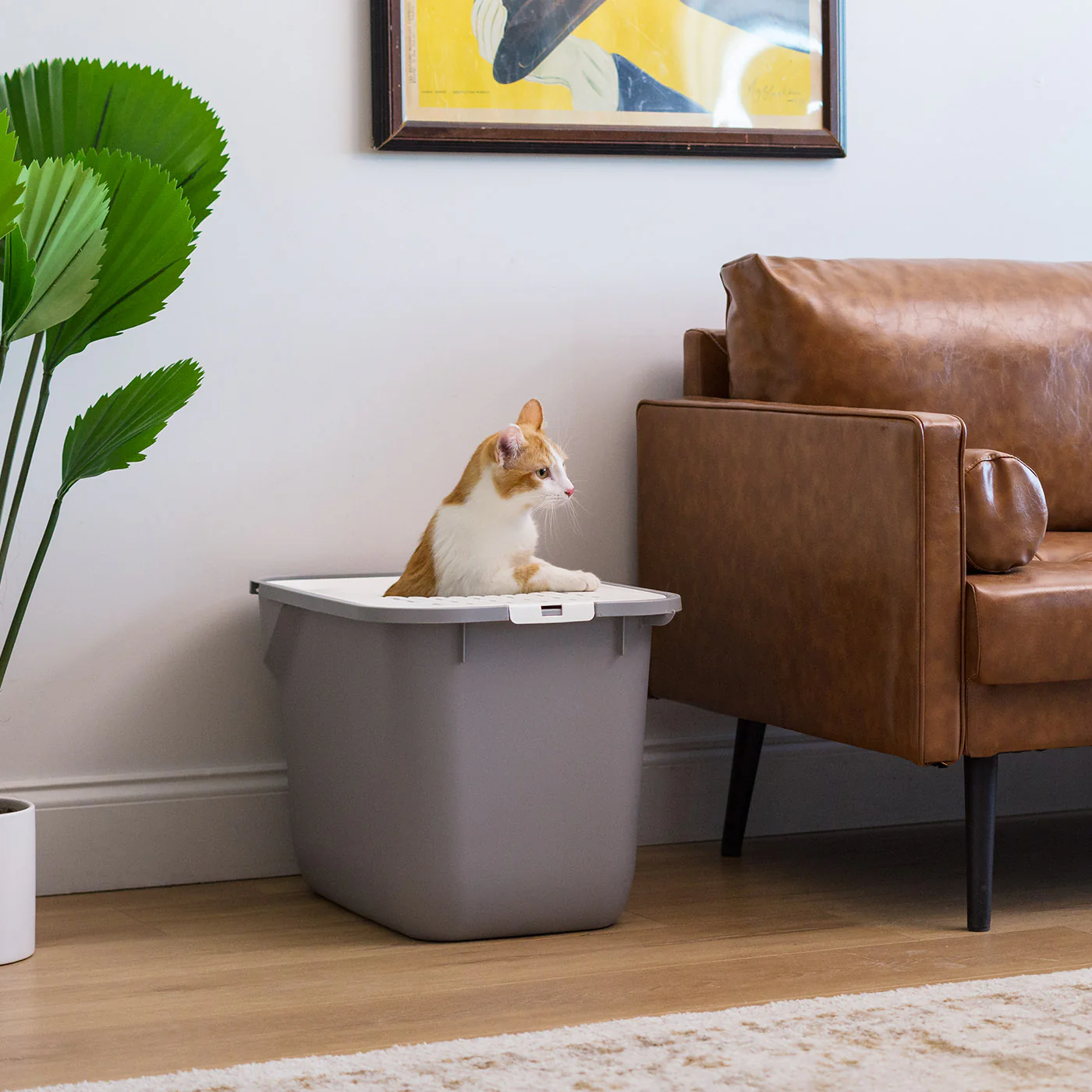 Top Entry Cat Litter Box w/o Scoop Large, White/Gray - Image 5