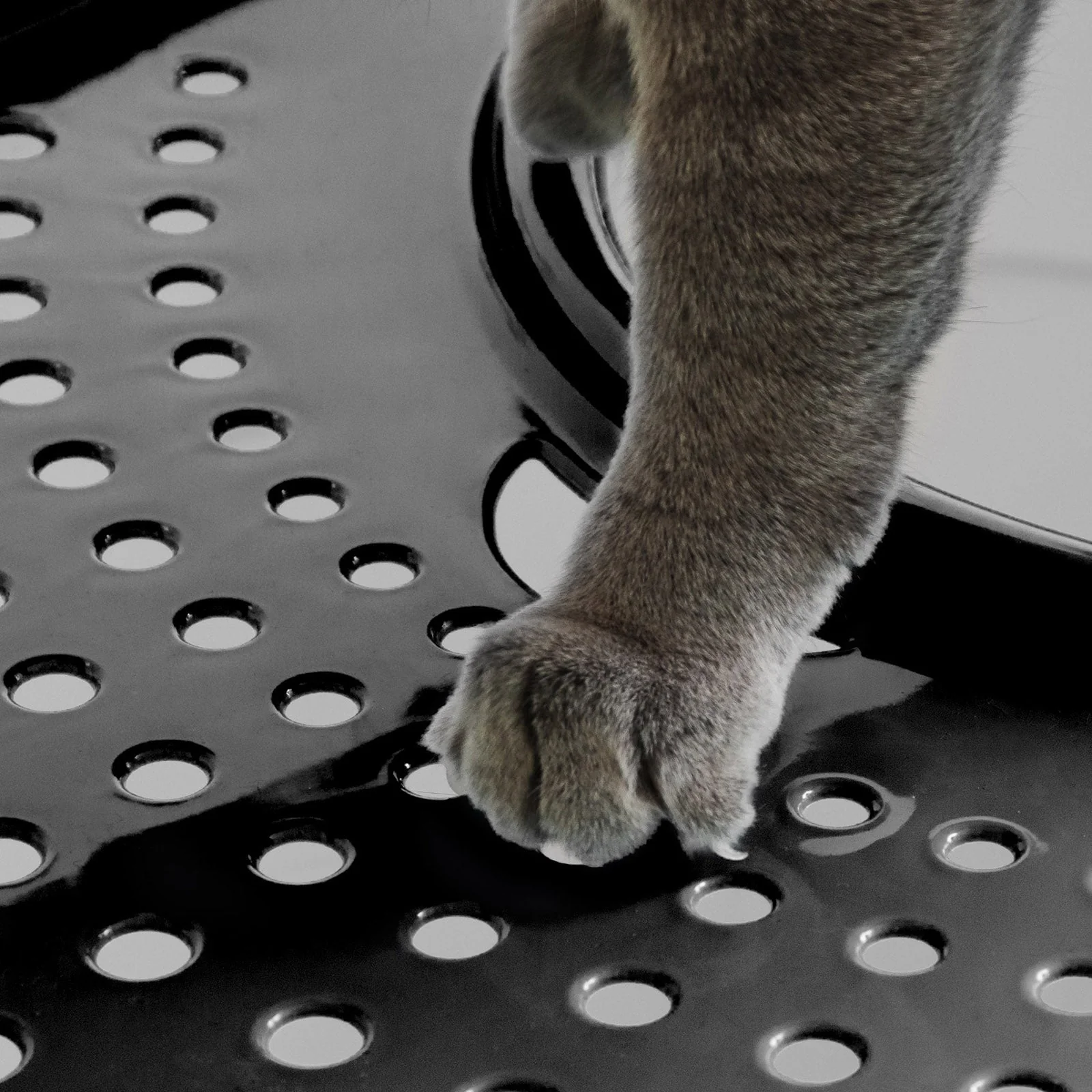 Top Entry Cat Litter Box with Scoop, White/Black/Seafoam - Image 4