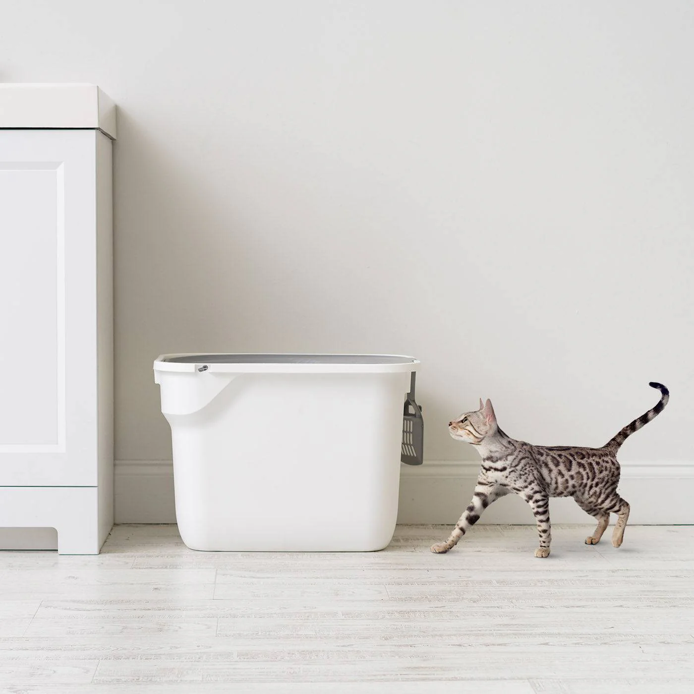 Top Entry Cat Litter Box with Scoop, White/Gray - Image 3
