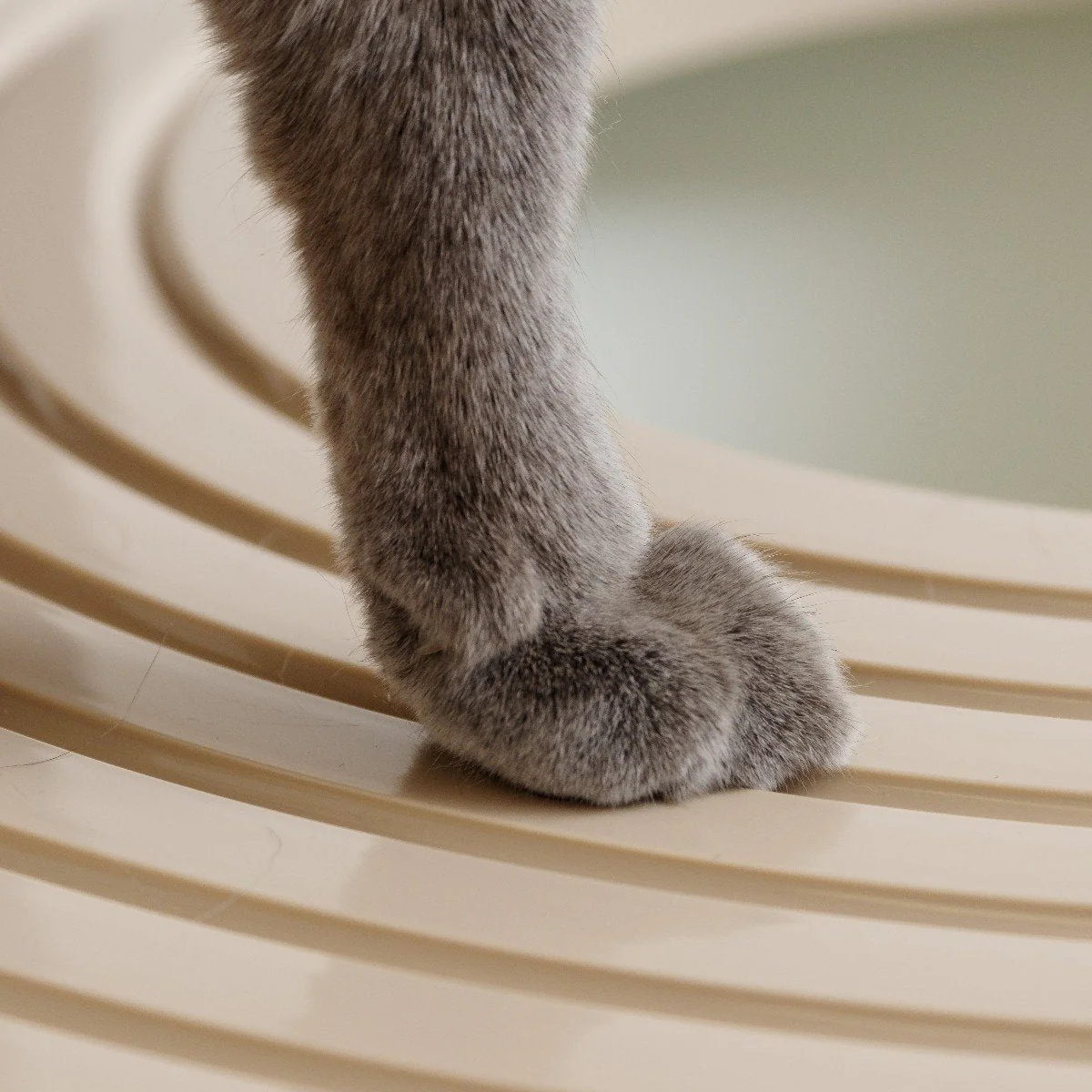 Top Entry Cat Litter Pan - Large - Image 10