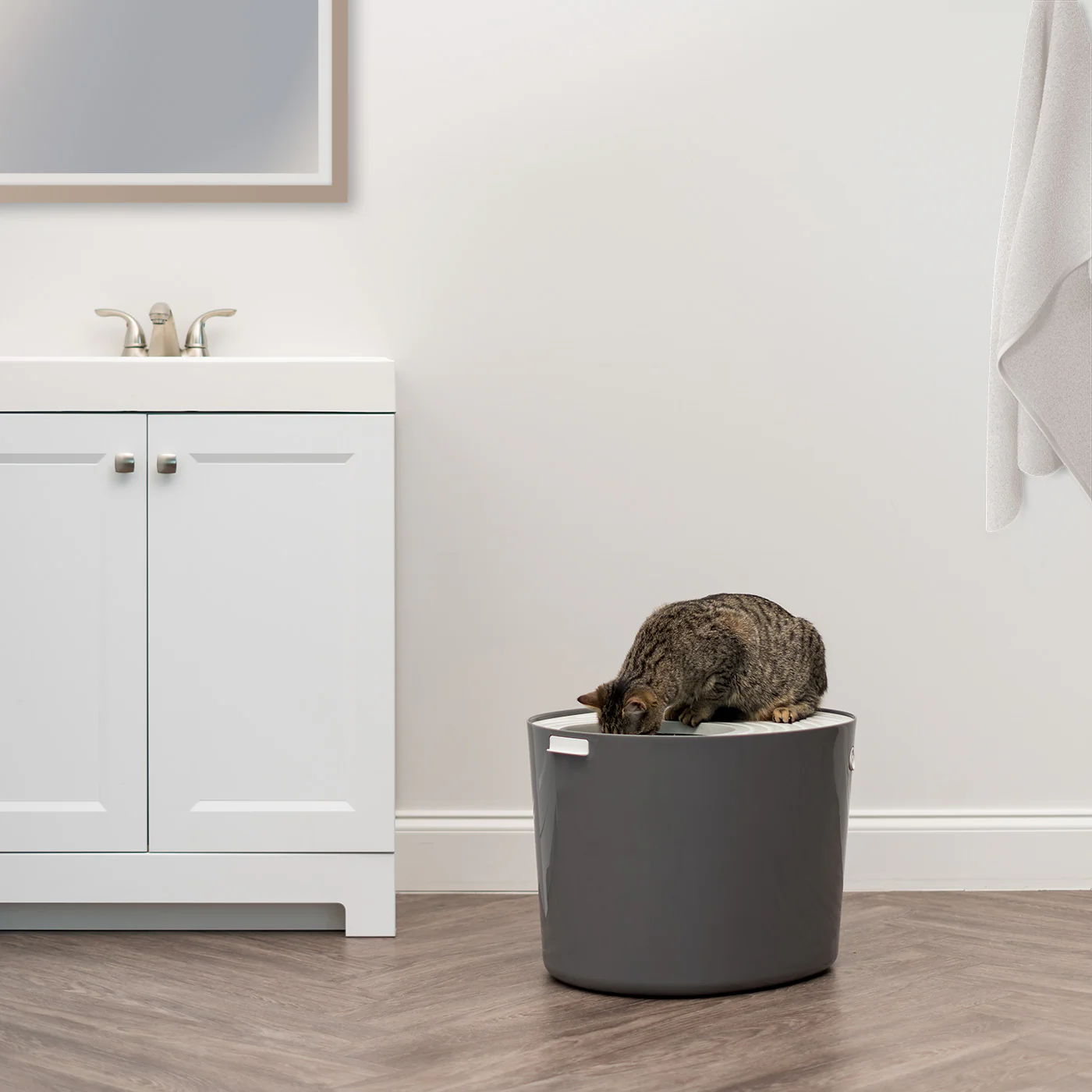 Top Entry Cat Litter Pan - Large - Image 6