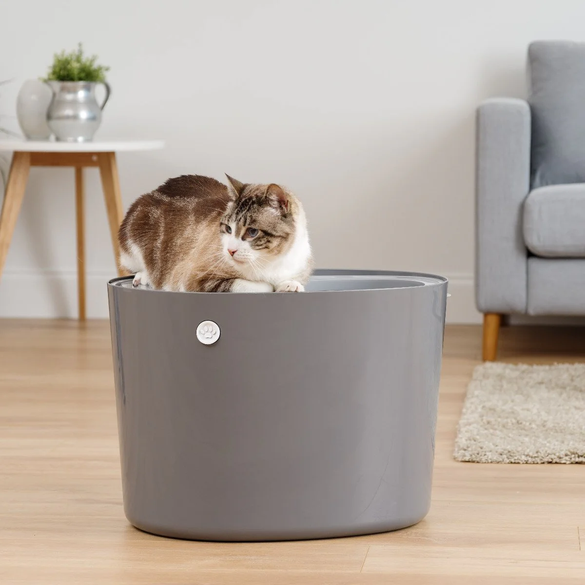 Top Entry Cat Litter Pan - Large - Image 3