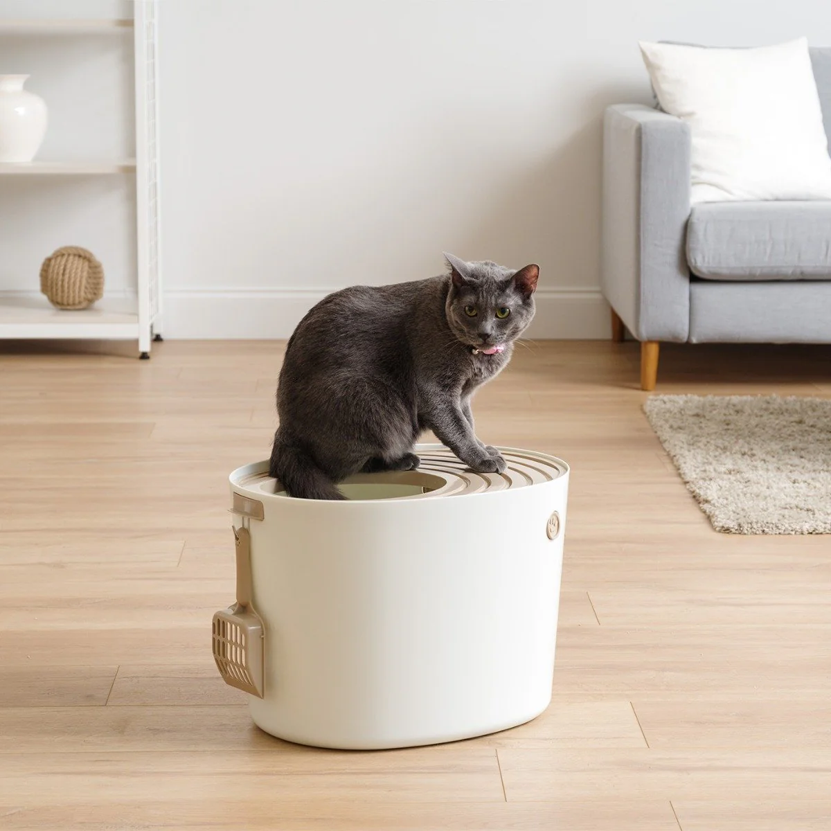 Top Entry Cat Litter Pan - Medium - Image 3