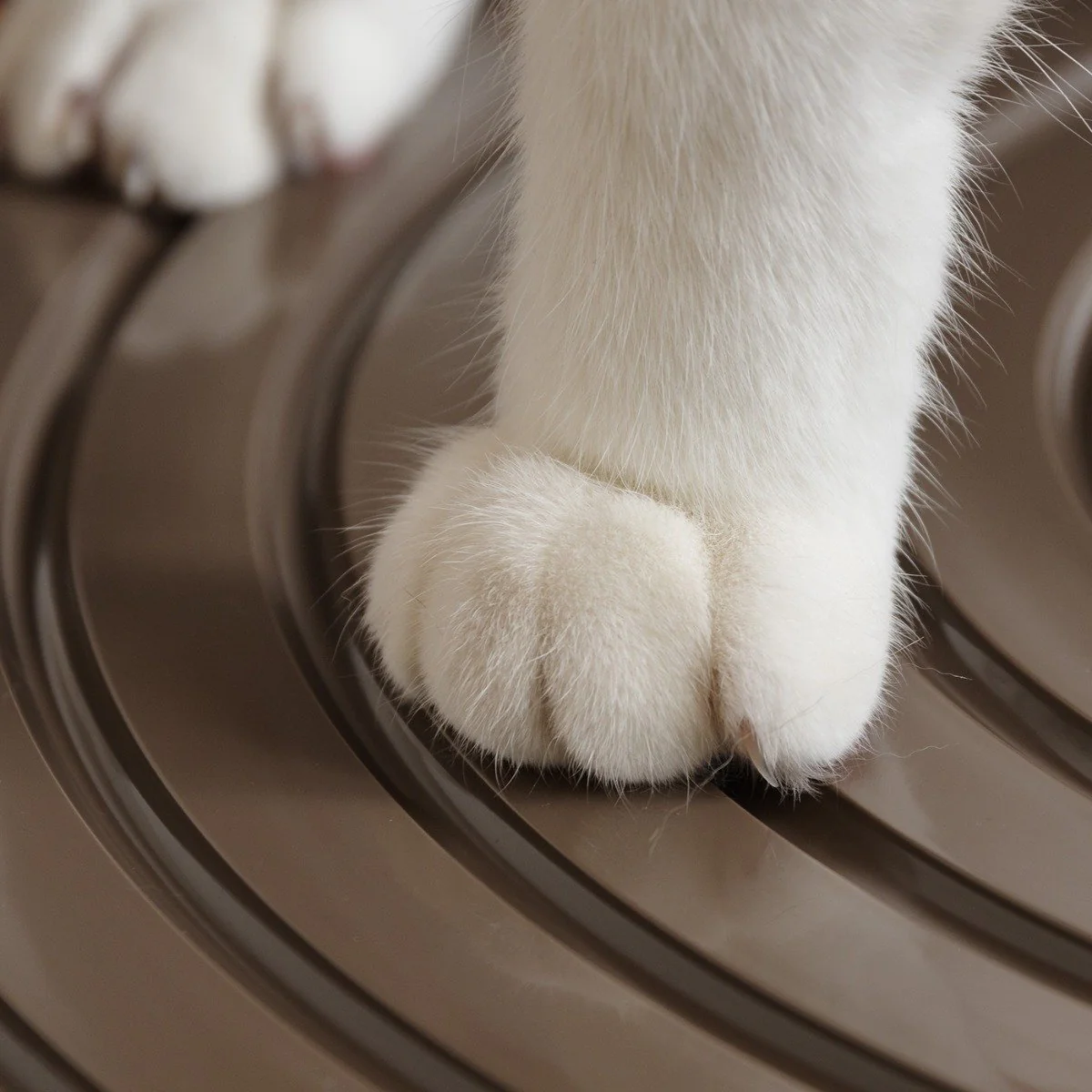 Top Entry Cat Litter Pan - Medium - Image 6