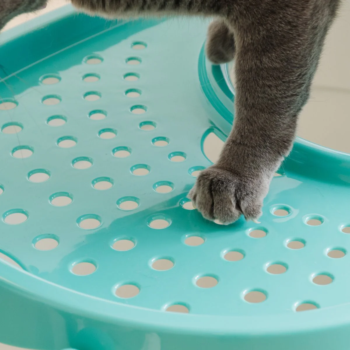 Top Entry Cat Litter Pan with Perforated Lid - Image 19