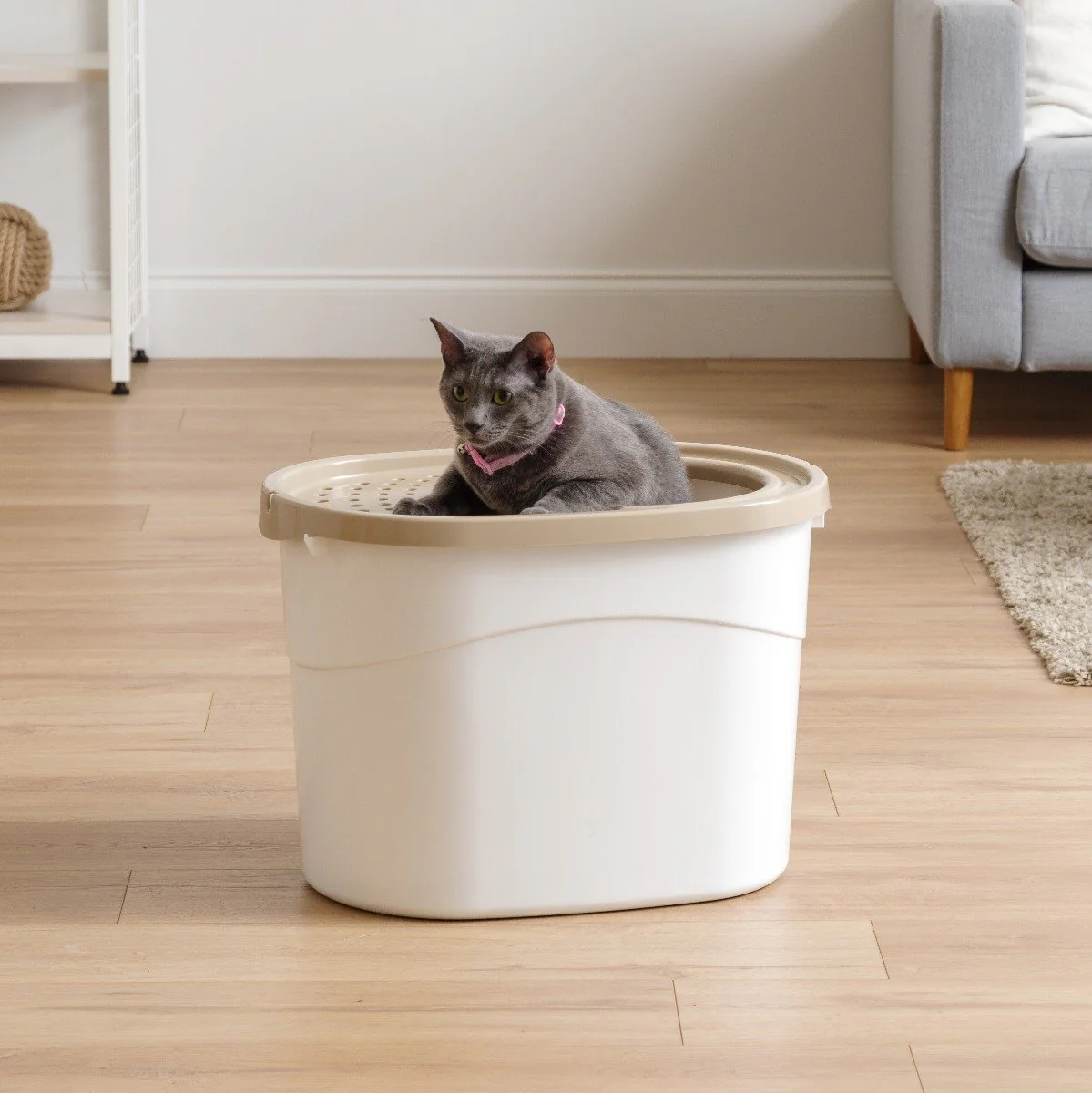 Top Entry Cat Litter Pan with Perforated Lid - Image 26