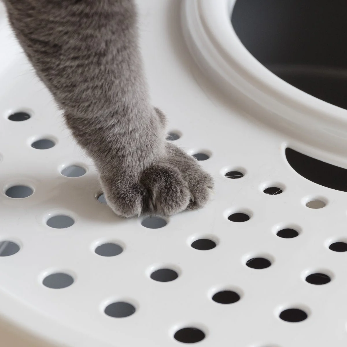 Top Entry Cat Litter Pan with Perforated Lid - Image 7