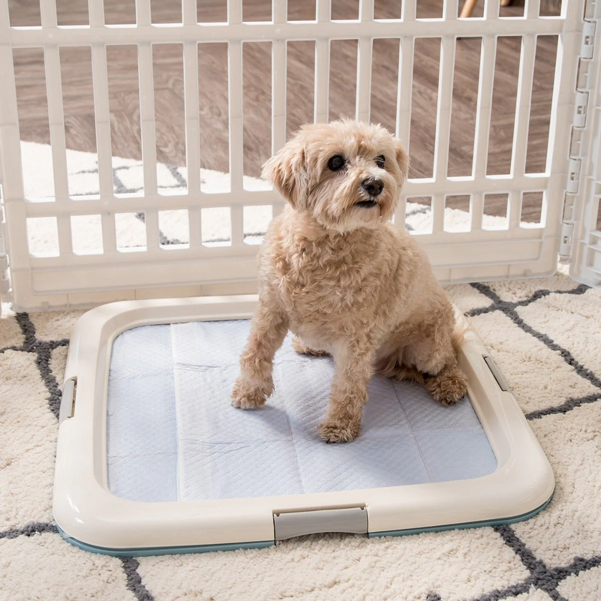 Training Pad Holder - Square - Image 4