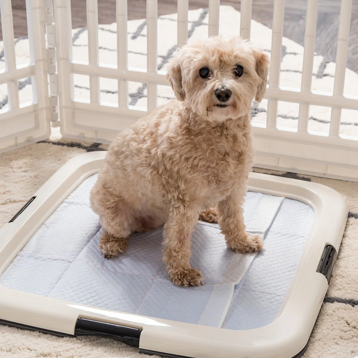 Training Pad Holder - Square - Image 7