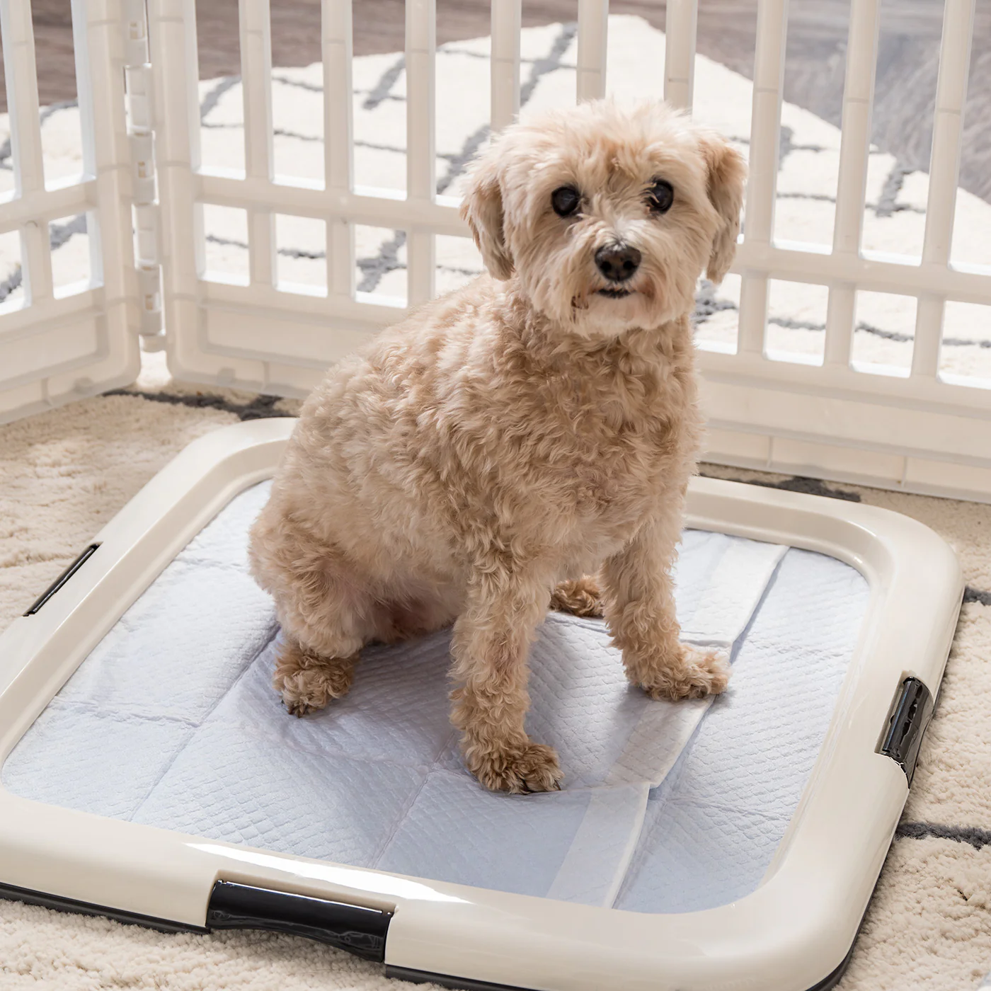Training Pad Holder - Square Navy - Image 3