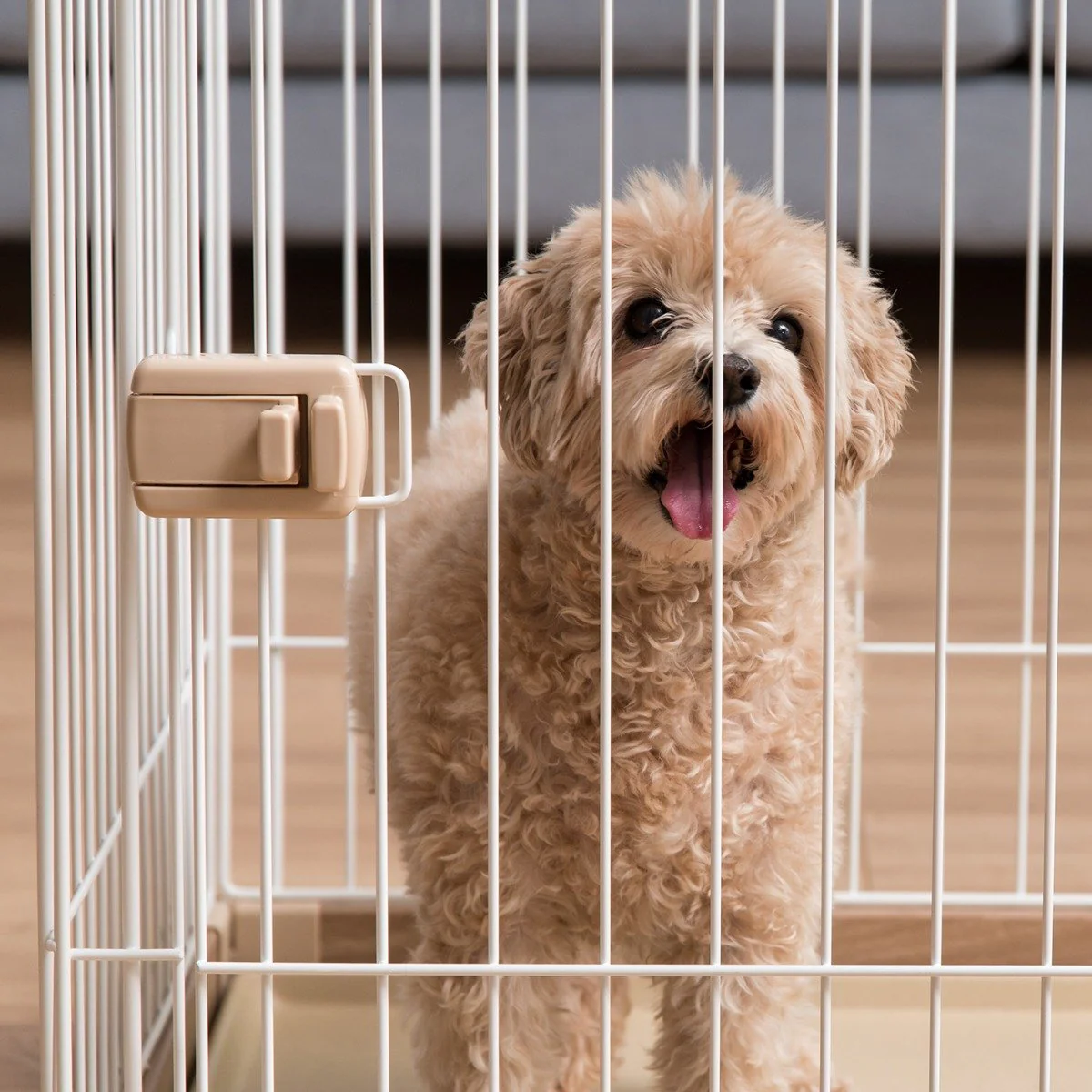 Wire Open Pet Pen - Medium - Image 5