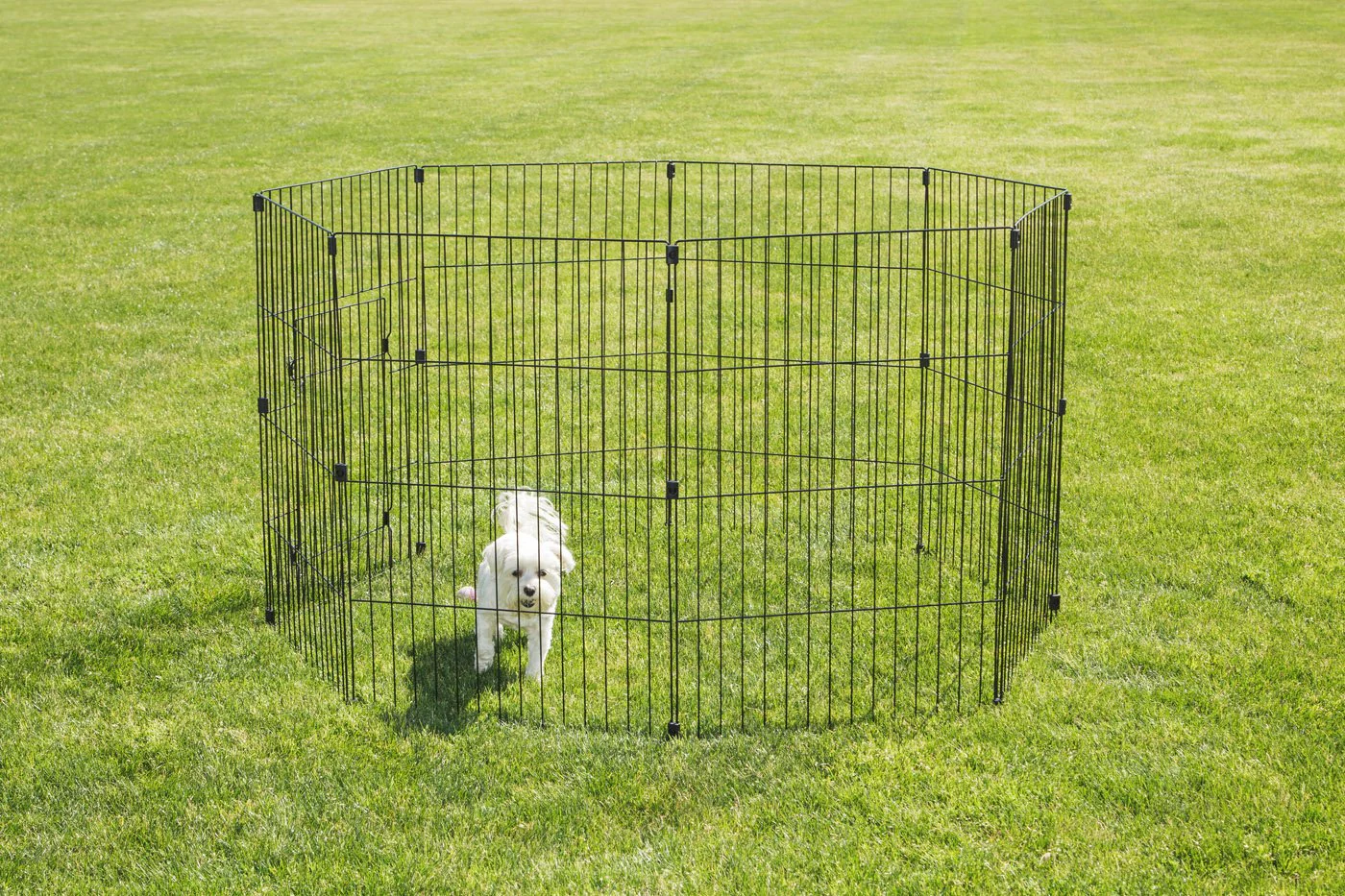 Wire Pet Pen - 36-inch - Image 17