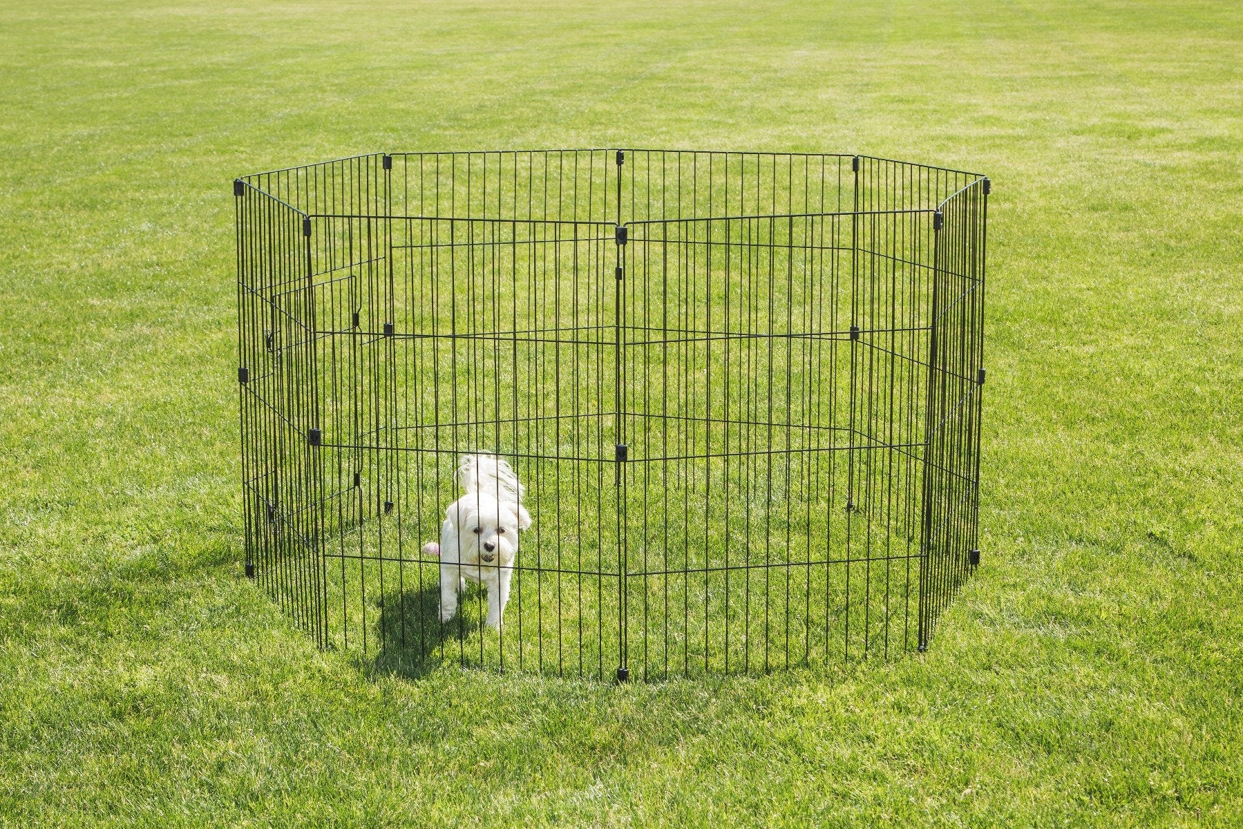 Wire Pet Pen - 36-inch - Image 18