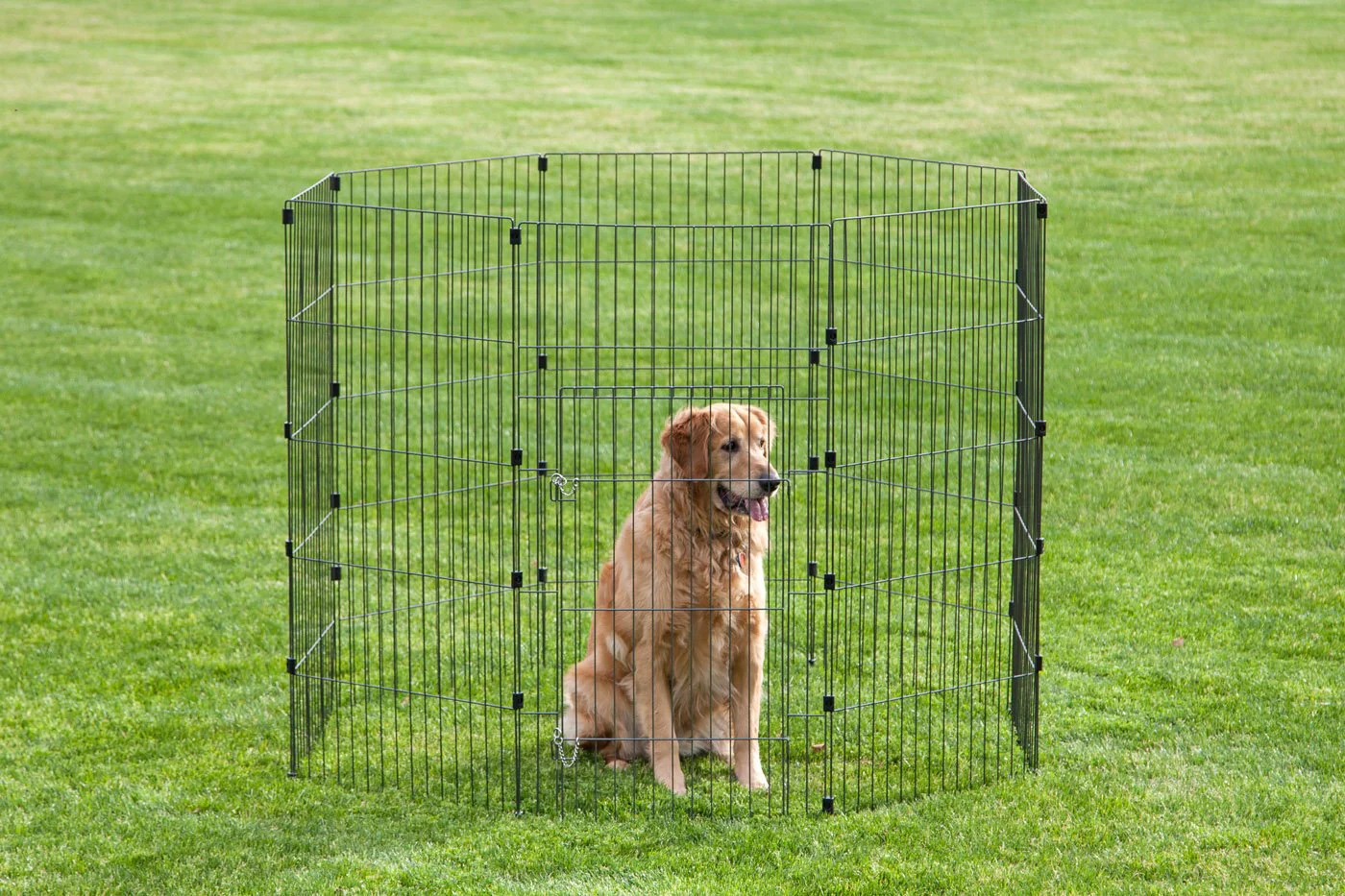 Wire Pet Pen - 48-inch - Image 14