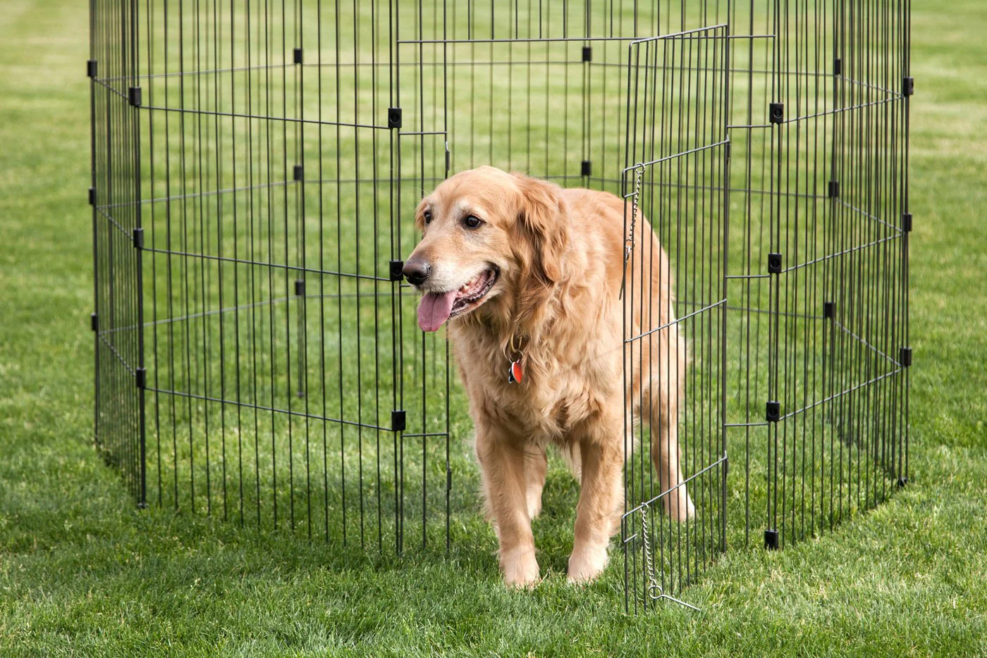 Wire Pet Pen - 48-inch - Image 15