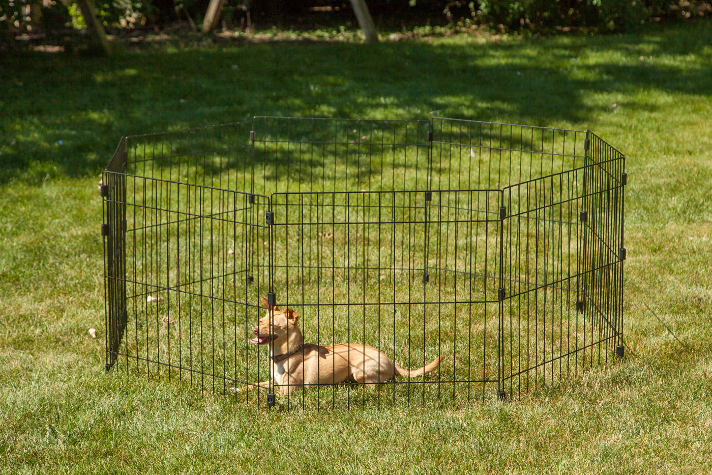 Wire Pet Playpen, Small Medium Dog - Image 4