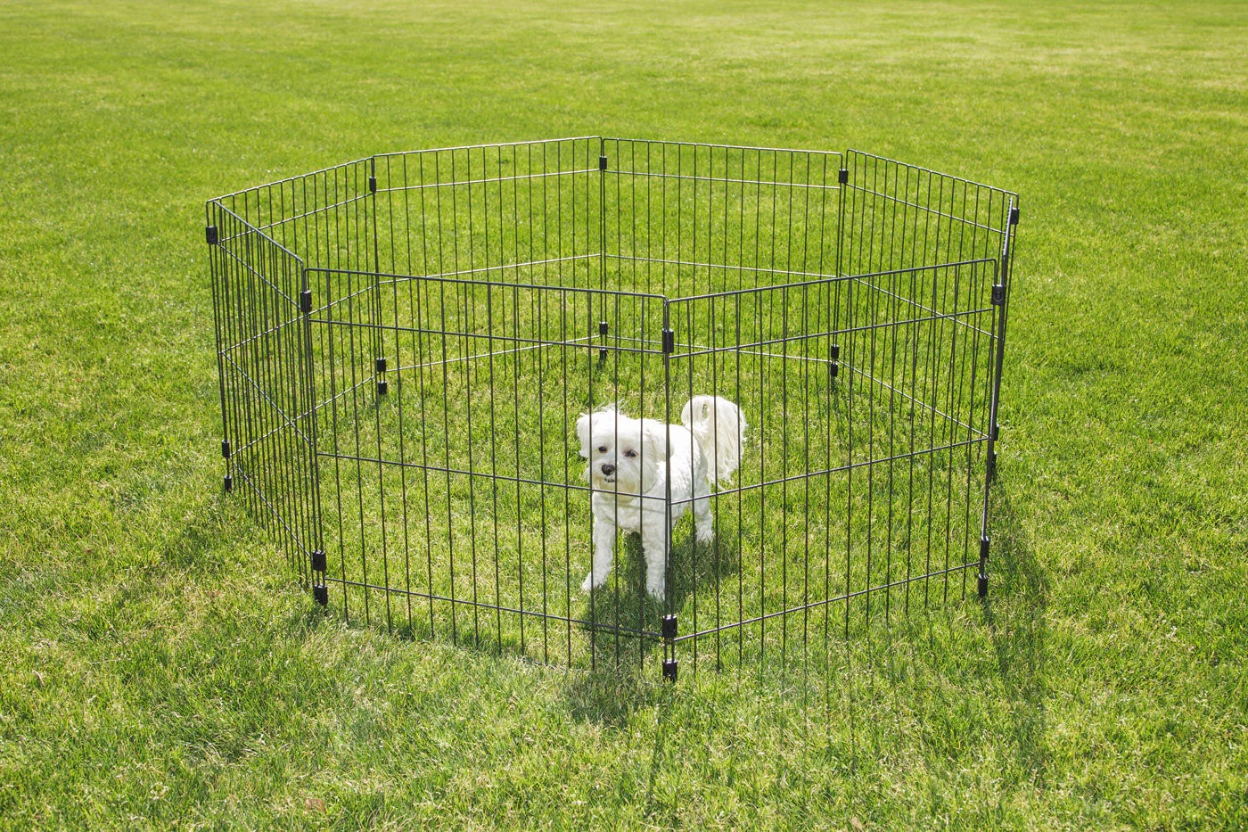 Wire Pet Playpen, Small Medium Dog - Image 5