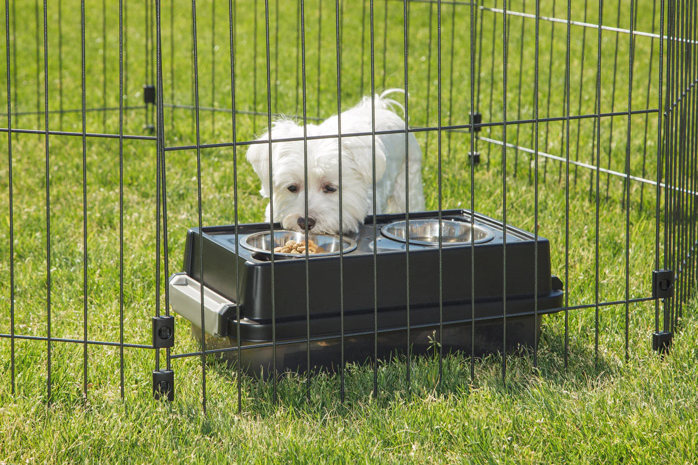 Wire Pet Playpen, Small Medium Dog - Image 6