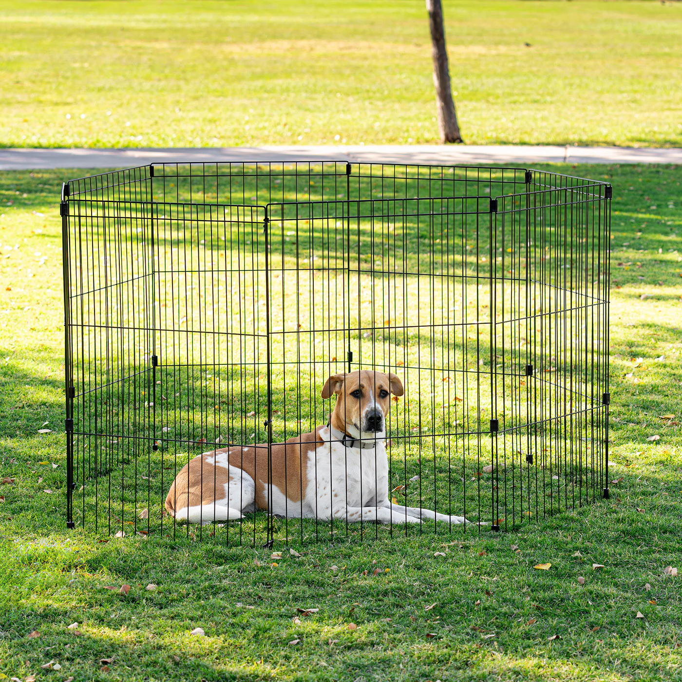 Wire Pet Playpen, Small Medium Dog - Image 20