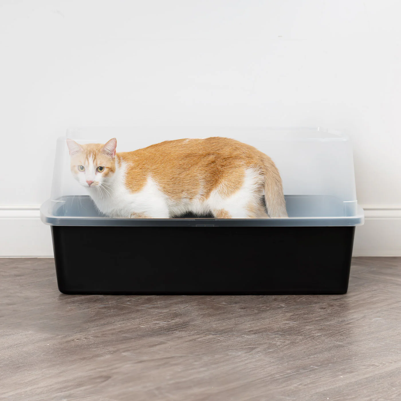 XL Open-Top Cat Litter Box with Shield - Image 4