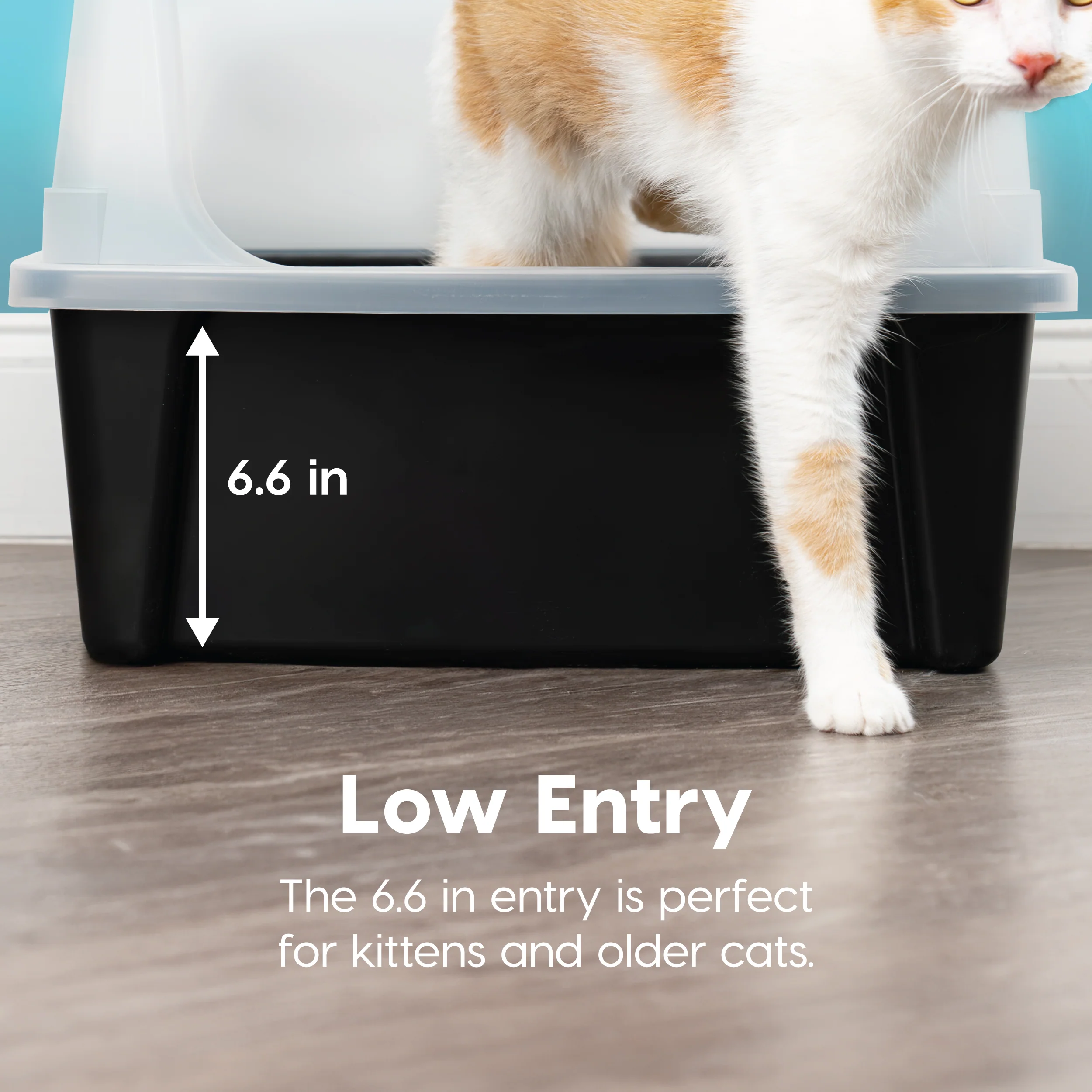 XXL Cat Litter Box with Litter Scoop - Image 10