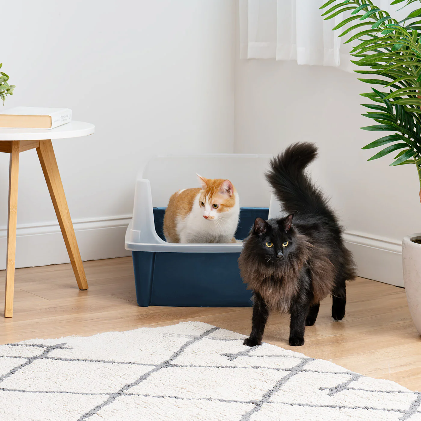XXL Cat Litter Box with Litter Scoop - Image 2